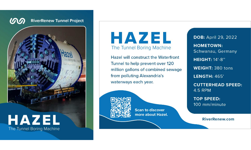 Learn About Hazel the TBM