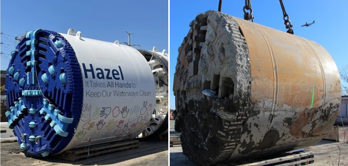 Hazel: Before and After