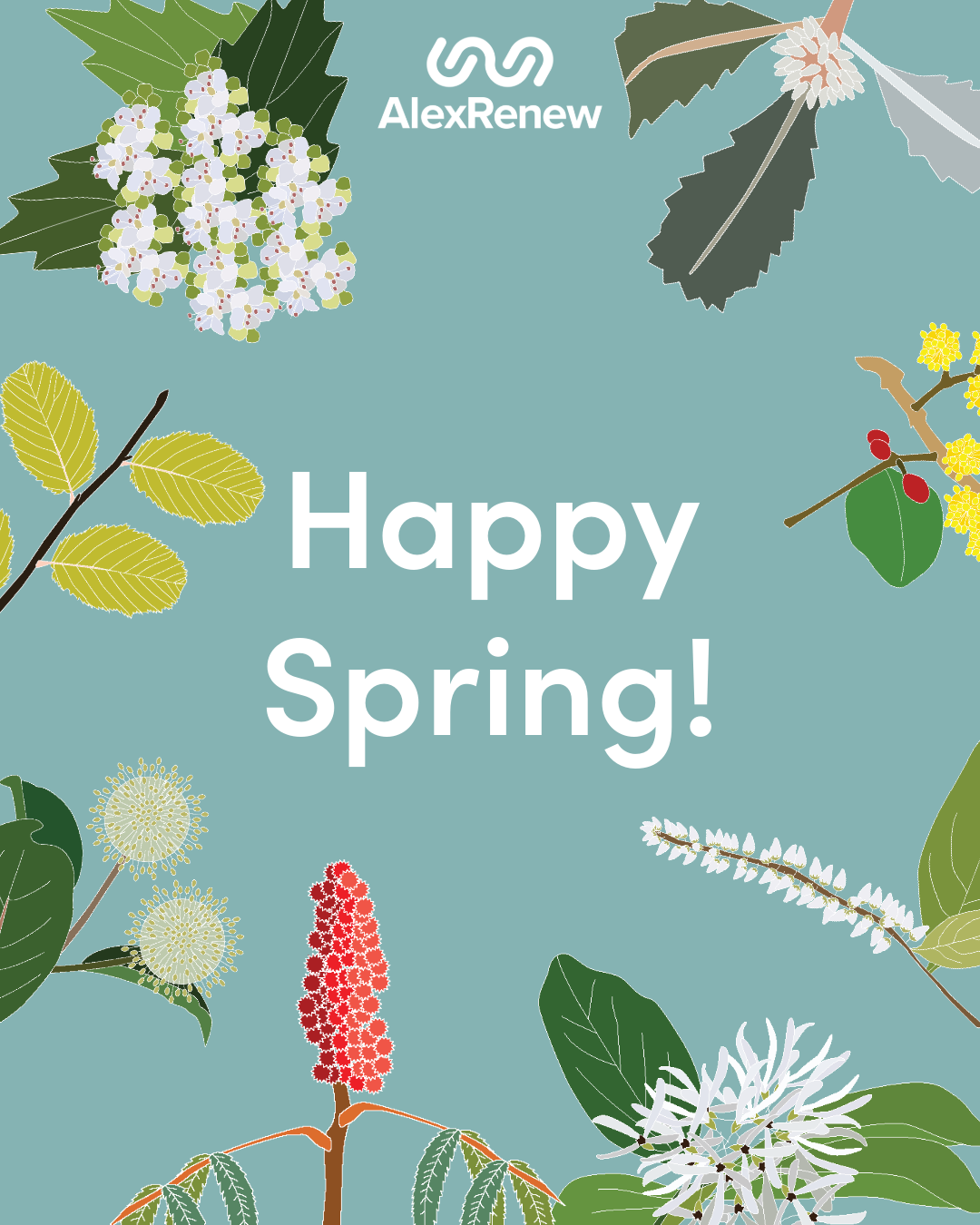 Happy Spring! written in white on a green background, with illustrations of native plants bordering the words and the AlexRenew logo in white at the top.