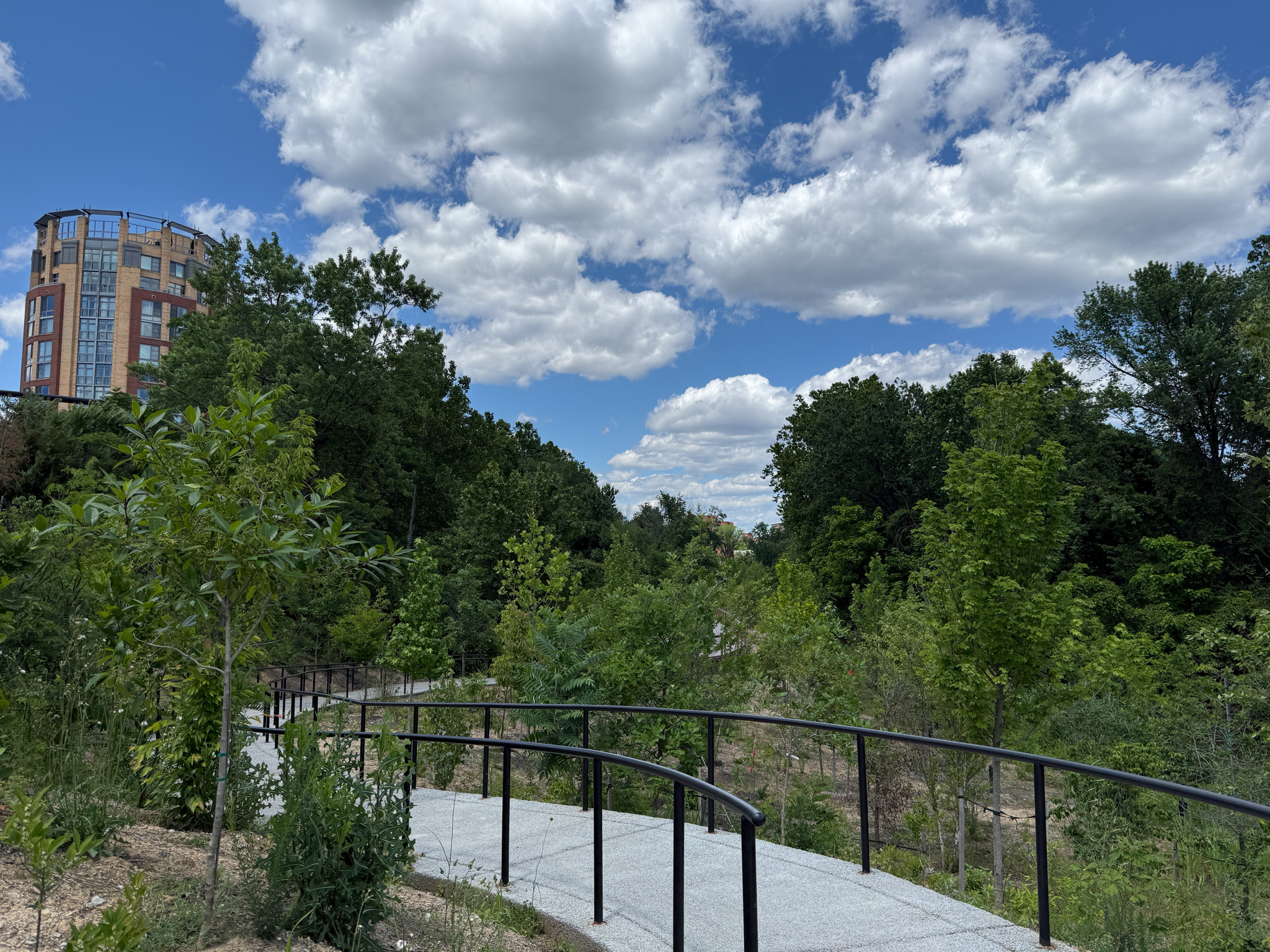 A path winds through green trees with a blue sky in the background.