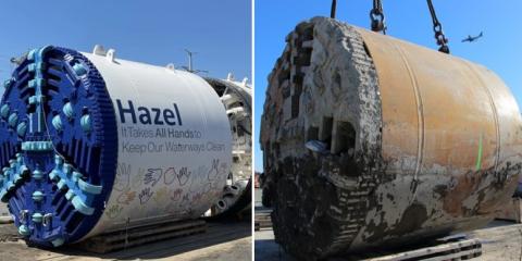 Hazel: Before and After