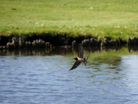 Rates Increase Image